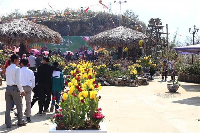 Du xuân đã đời tại Lễ hội khèn hoa Sun World Fansipan Legend - Ảnh 6.