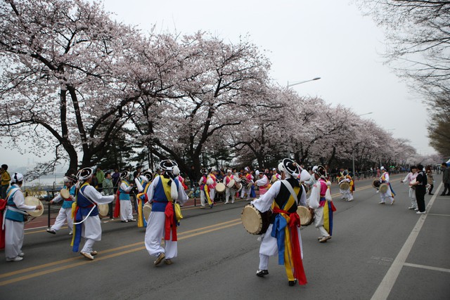 Rộn ràng mùa lễ hội hoa Hàn Quốc - Ảnh 2.
