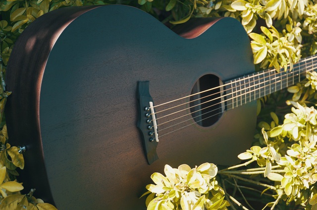 Tanglewood: H&atilde;ng guitar nổi tiếng Anh Quốc đ&atilde; c&oacute; mặt tại Việt Nam - Ảnh 4.