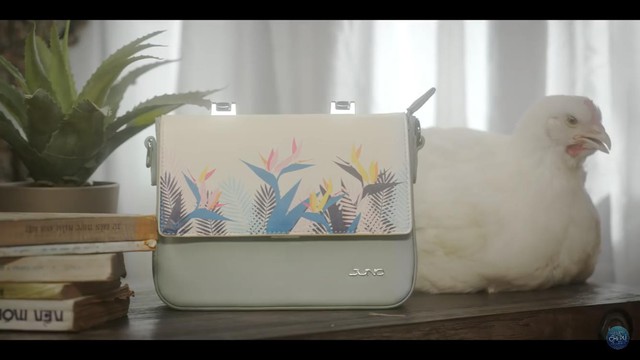 Ph&aacute;t hiện MV mới của Chi Pu c&oacute; một &ldquo;điểm bất thường&rdquo;, sự thật khiến cộng đồng mạng tranh luận s&ocirc;i nổi - Ảnh 3.