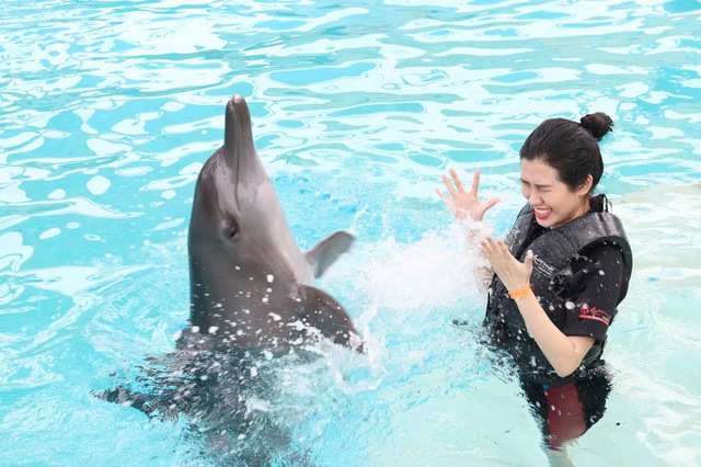 Hoa hậu Du lịch Emily Hồng Nhung đón sinh nhật đặc biệt cùng những chú cá heo tại Singapore - Ảnh 3.