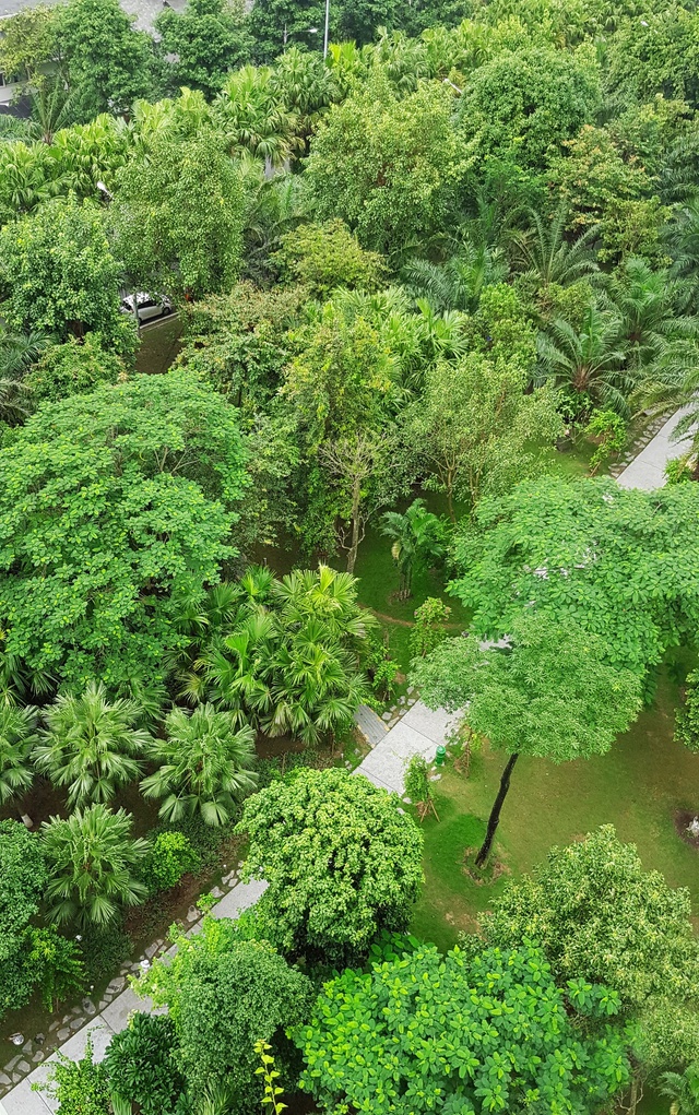 Kỳ lạ, cư d&acirc;n Ecopark kh&ocirc;ng cần bật điều h&ograve;a giữa ng&agrave;y n&oacute;ng đỉnh điểm - Ảnh 4.