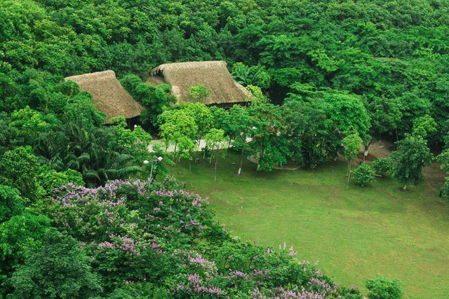 Kỳ lạ, cư d&acirc;n Ecopark kh&ocirc;ng cần bật điều h&ograve;a giữa ng&agrave;y n&oacute;ng đỉnh điểm - Ảnh 5.