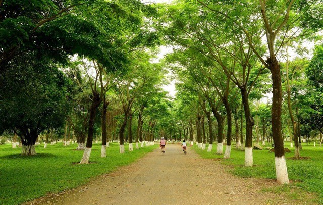 Kỳ lạ, cư d&acirc;n Ecopark kh&ocirc;ng cần bật điều h&ograve;a giữa ng&agrave;y n&oacute;ng đỉnh điểm - Ảnh 9.