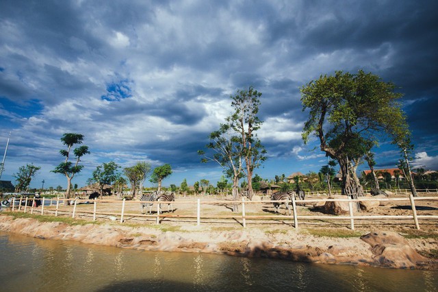 Một vòng khám phá River Safari - Công viên bảo tồn động vật hoang dã trên sông tại Hội An - Ảnh 7.
