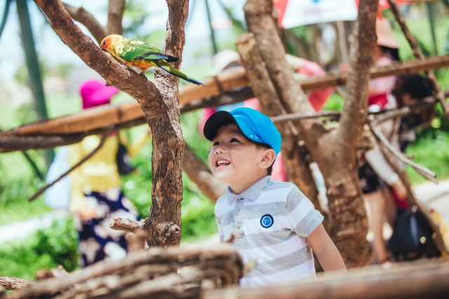 Một v&ograve;ng kh&aacute;m ph&aacute; River Safari - C&ocirc;ng vi&ecirc;n bảo tồn động vật hoang d&atilde; tr&ecirc;n s&ocirc;ng tại Hội An - Ảnh 13.