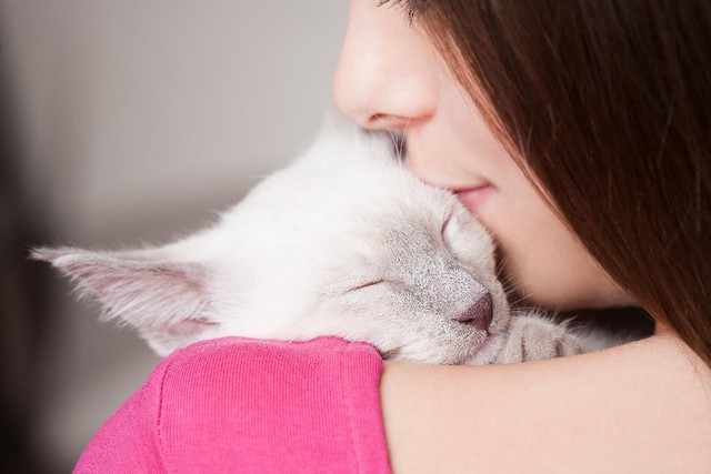 4 kiểu &ldquo;n&agrave;ng m&egrave;o&rdquo; trong những ng&agrave;y ấy, bạn giống kiểu n&agrave;o? - Ảnh 1.