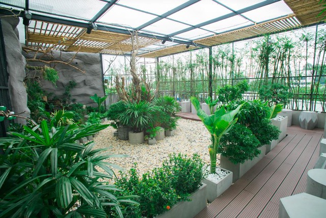 Đến Amazing thưởng thức cafe sạch v&agrave; ngắm chim giữa S&agrave;i G&ograve;n - Ảnh 3.