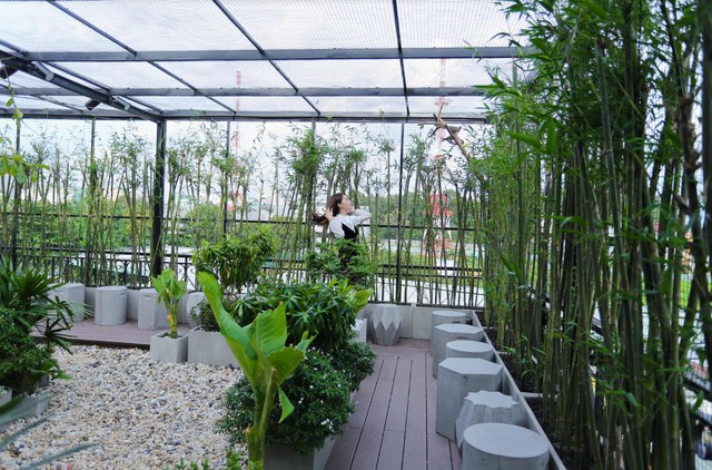 Đến Amazing thưởng thức cafe sạch v&agrave; ngắm chim giữa S&agrave;i G&ograve;n - Ảnh 4.