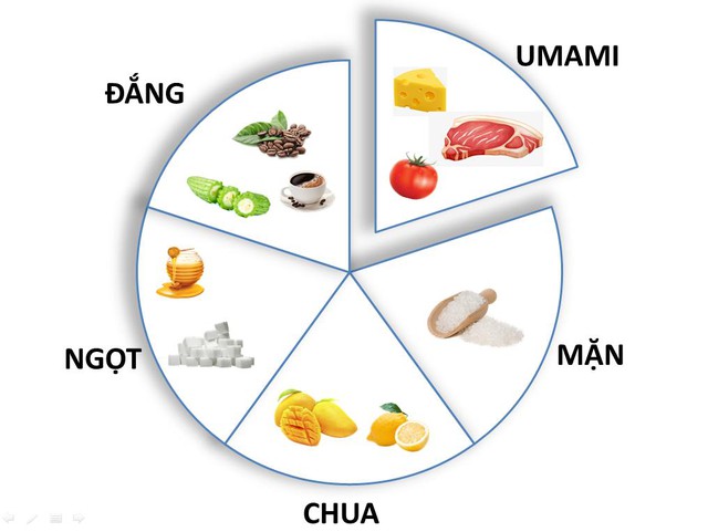 Umami- Vị cơ bản thứ năm xuất hiện trong hầu hết thực phẩm - Ảnh 1.