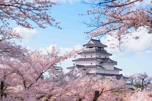 Theo dấu hoa anh đ&agrave;o Nhật Bản chỉ từ 23 triệu tại ng&agrave;y hội Fukushima - Ảnh 1.