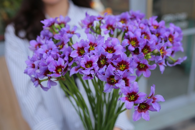 6 lý do khiến giới trẻ yêu hoa không thể không check-in Triển lãm hoa Nhật Bản cuối tuần này - Ảnh 5.
