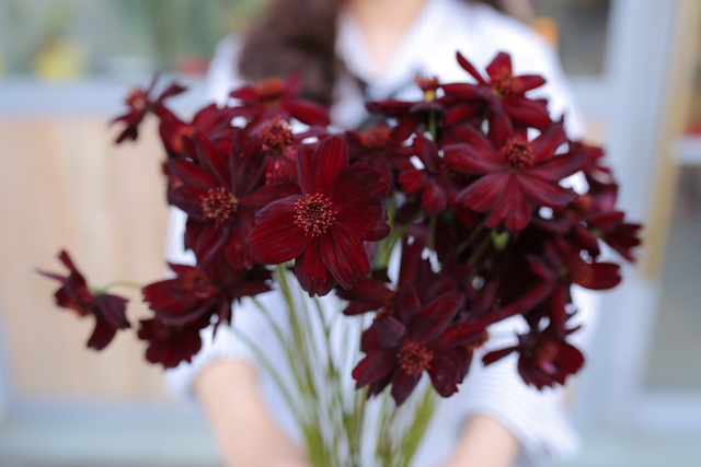 6 lý do khiến giới trẻ yêu hoa không thể không check-in Triển lãm hoa Nhật Bản cuối tuần này - Ảnh 6.