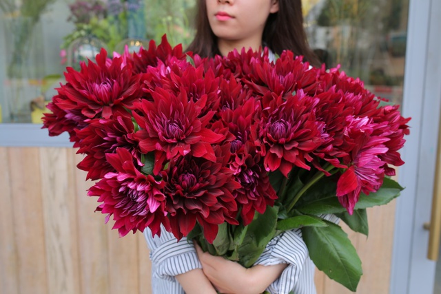 6 lý do khiến giới trẻ yêu hoa không thể không check-in Triển lãm hoa Nhật Bản cuối tuần này - Ảnh 7.