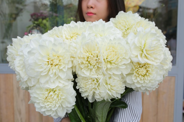 6 lý do khiến giới trẻ yêu hoa không thể không check-in Triển lãm hoa Nhật Bản cuối tuần này - Ảnh 8.