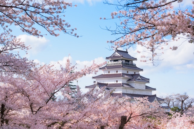 Rủ nhau “lạc” giữa ngàn hoa trên “cung đường kim cương” Nhật Bản - Ảnh 1.