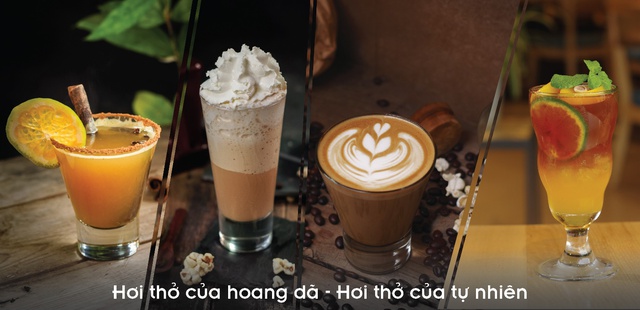 Những điểm cộng thuyết phục mọi thực kh&aacute;ch của My Way New Journey, kể cả kh&aacute;ch quốc tế - Ảnh 2.