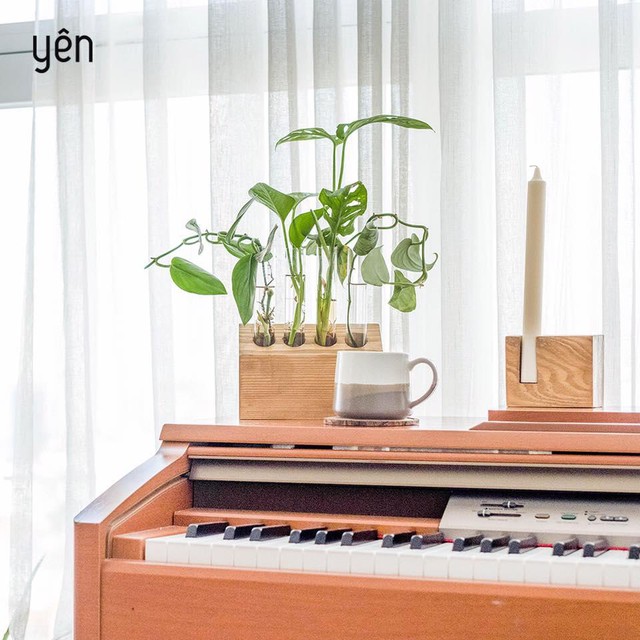Sống xanh như Helly Tống với The Yên Concept - Ảnh 3.
