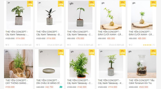 Sống xanh như Helly Tống với The Yên Concept - Ảnh 7.