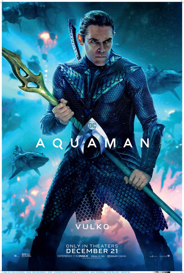Vì sao Aquaman được dự đoán là bước ngoặt lớn của vũ trụ điện ảnh DC? - Ảnh 13.