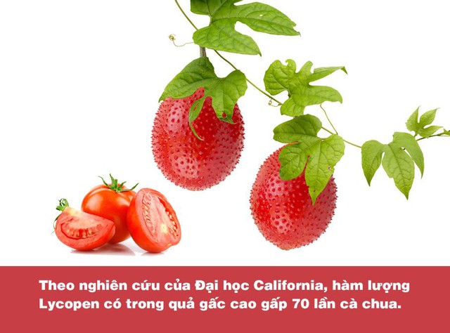 Chứa hàm lượng dưỡng chất cao gấp nhiều lần cà chua, cà rốt; gấc chính là thực phẩm vàng dành cho lá gan - Ảnh 2.